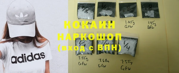 твердый Бородино
