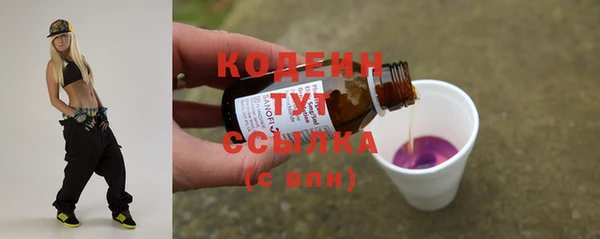 твердый Бородино
