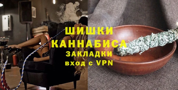 твердый Бородино