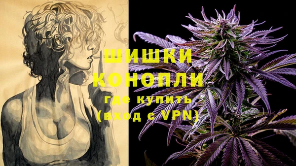 мдпв Бугульма