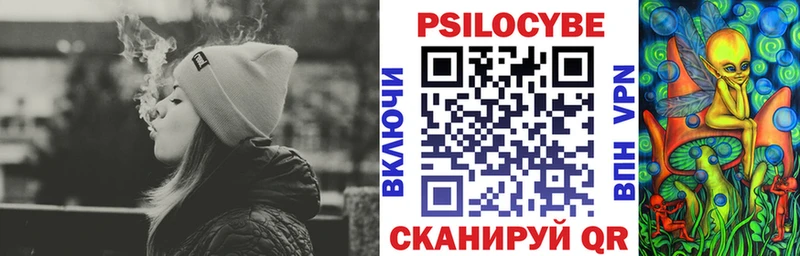 Псилоцибиновые грибы GOLDEN TEACHER  Купить закладки  Котовск 
