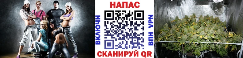 Шишки марихуана тримм Котовск