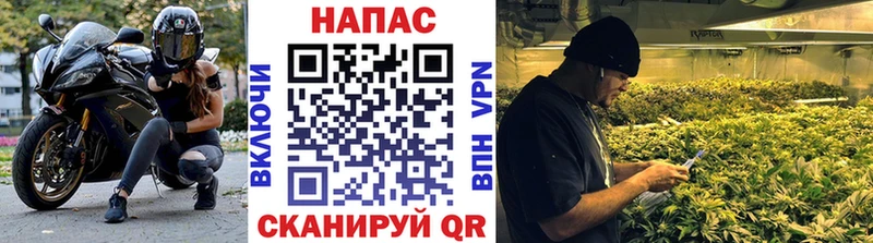Купить где  Котовск  МАРИХУАНА конопля 
